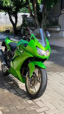 Kawasaki Ninja 250R Ninja Karbu