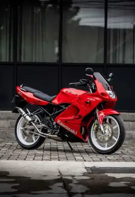 Ninja RR Old 2011