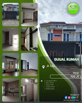 Dijual Rumah 2 Lantai Daerah Lily Siap Huni!