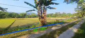 Dijual sawah murah view indah perbukitan di prambanan sleman.