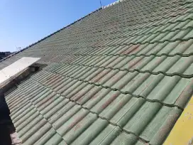Genteng Beton warna hijau