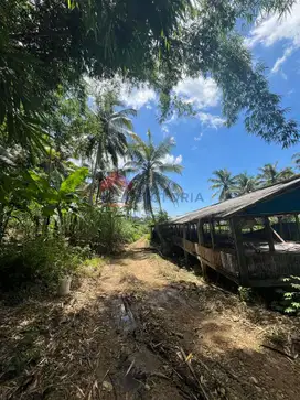 Tanah Sangat Luas Area Bantur Berada di Jalur Wisata Balekambang