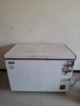 Freezer merk GEA