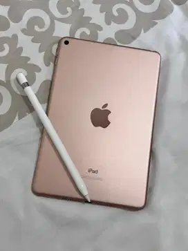 IPAD MINI 5 + APPLE PENCIL GEN 1
