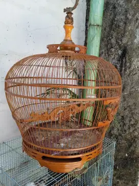 Sangkar gentong puter