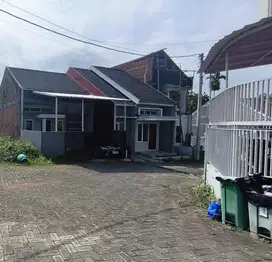 Tanah cocok untuk rukos UMM