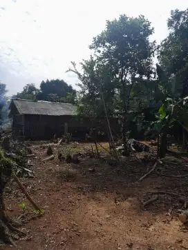 Tanah Murah Lokasi Strategis Cocok Untuk Investasi