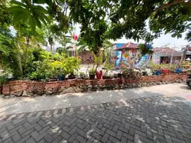 Tanah Siap Bangun Sukolegok Dekat Ketapang Sidoarjo