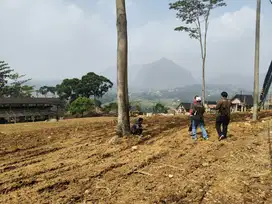 Jual cepat tanah kavling view indah SHM sekitar jakarta depok cibubur