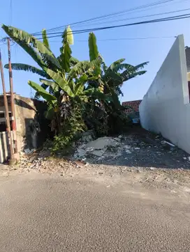 200meter Jalan Damai, Pekarangan Cocok Hunian Maupun Homestay