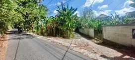 Tanah blong keker jimbaran bali