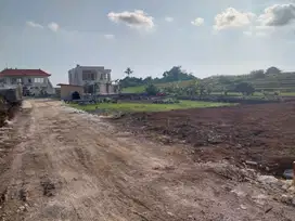 Jual Tanah Zona Kuning Babakan Canggu Luas 3.3are luas global 15are