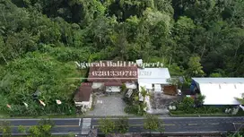 Jual Tanah ada Bangunan Luas 26 Are  View Jungle, Sungai di Ubud