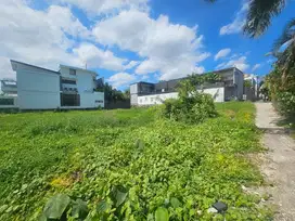 Tanah Pemilasan Agung Berawa Canggu