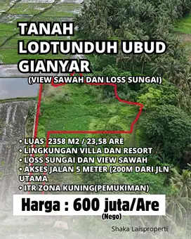 Dijual Tanah Lokasi Terbaik Lodtunduh Ubud View Sawah Los Sungai