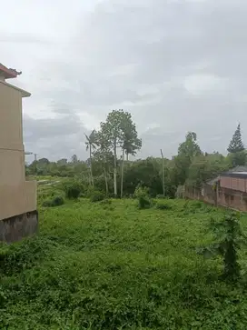 Dijual tanah di Canggu Padang Tawang babakan badung