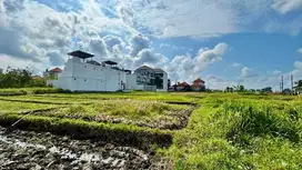 Tanah pantai mengening cemagi