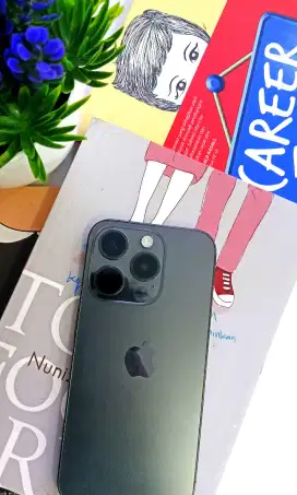 iPhone 15 Pro 256 Inter
