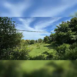 Bingin – Prime Land in Central Location