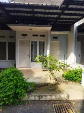 Di sewakan rumah full furniture
