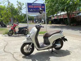 Di jual honda scoopy tahun 2024
