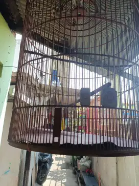 Di jual kandang bnr no 1