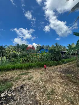 Tanah Jalur Wisata Pantai Selatan, 30 Menit ke Balekambang