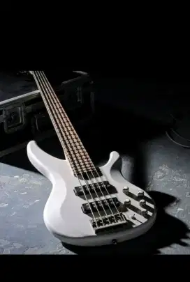 Jual bass yamaha trbx 505