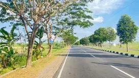 Tanah pinggir jalan Bypass BIL Lombok