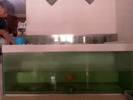 Aquarium untuk ikan dengan filter atas.