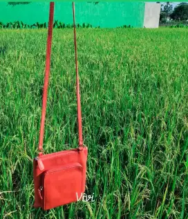 Sling bag fossil