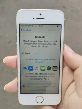 Iphone 5s 64gb mulus wifi
