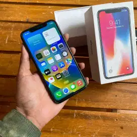 iPhone X 256GB Fuldus