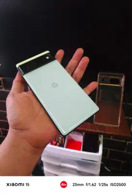 Google Pixel 6 Global 256Gb Mulus Normal Bisa TT Pastinya