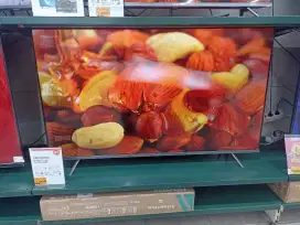 TV Panasonic Google TV 55