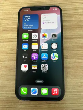 Dijual Iphone 12 Promax 256 GB