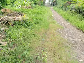 Dijual tanah siap bangun di desa bajra selemadeg Tabanan bali
