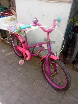 Sepeda Anak Perempuan
