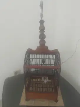 jual sangkar kecil