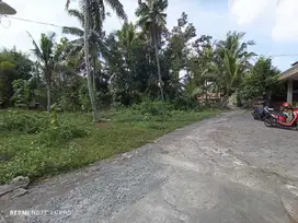 JUAL TANAH DI TAWANGSARI PENGASIH KULONPROGO