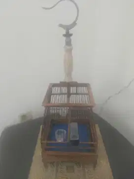 jual sangkar kecil