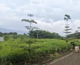 Tanah kapling dekat tempat wisata jatim park