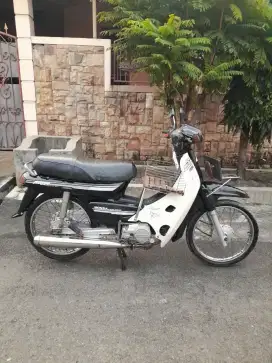 Astrea grand bulus 1991