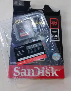 SanDisk Extreme PRO SDXC/HC

UHS-I Card U3 V30 100MB/s 200MB/s - 256GB