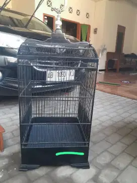 Sangkar kosan ori
