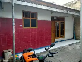 Kontrakan Gang jambu petir