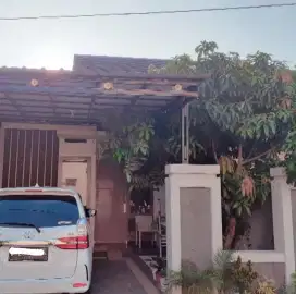 Disewakan Rumah tahunan - siap Huni di Mahkota Cimuning