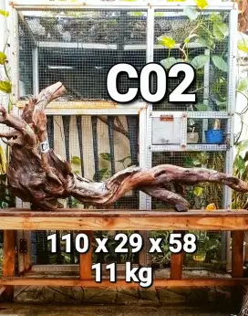 Kayu Santigi Laut Asli Kayu Tenggelam Dekorasi Aquarium Kayu Aquascape