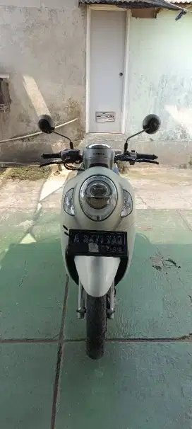 Honda Scoopy Frestige 2021 kayles