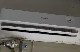AC Sharp 1/2 pk